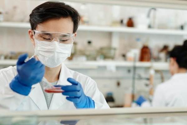 豪賭那個菌株，走上合成(chéng)生物「造物與造富」之路 